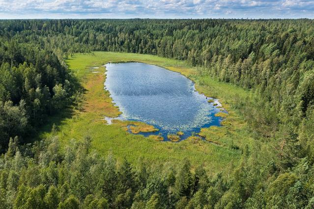 Bakunkärrsträsket